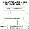 Algoritam 65: Normocitna anemija u bolesnika s RPI <2