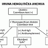 Algoritam 70: Imuna hemoliti�ka anemija